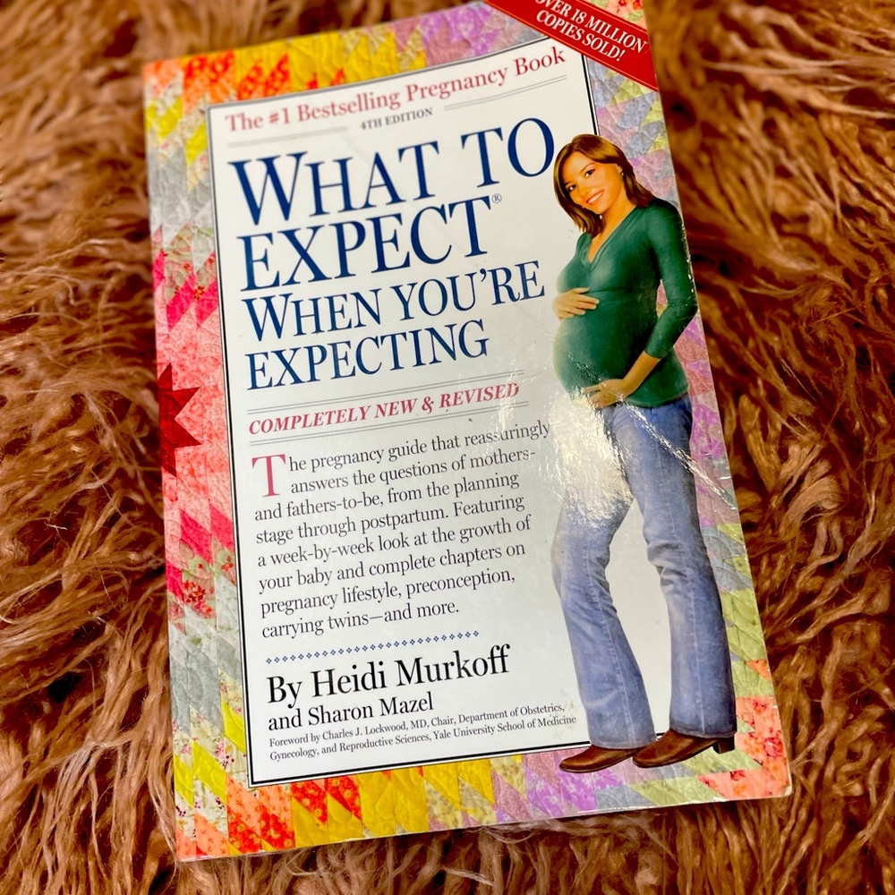 What to expect when your expecting chapter book by Heidi Murkoff